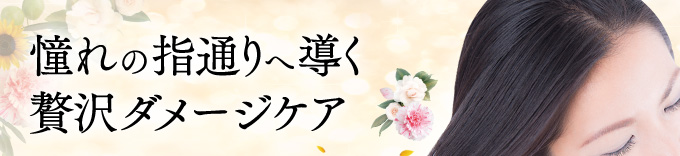 憧れの指通りへ導く贅沢ダメージケア