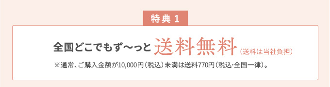 特典1 送料無料