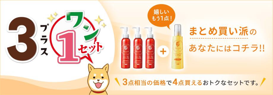 3+1セット