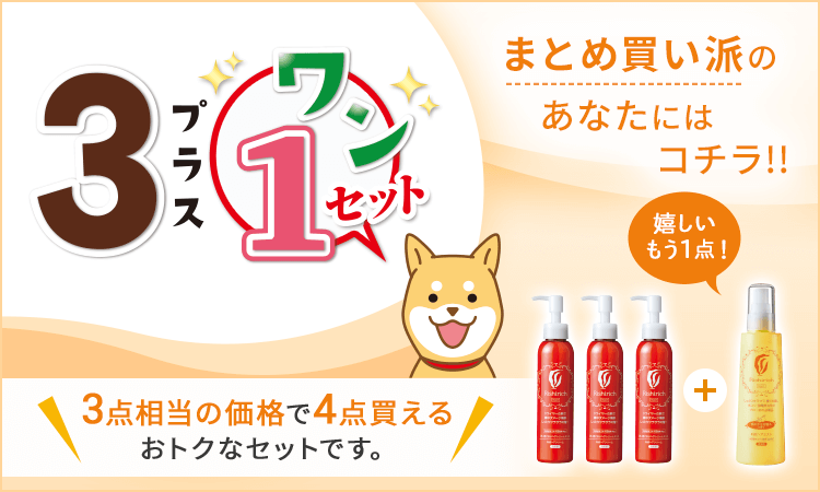 3+1セット