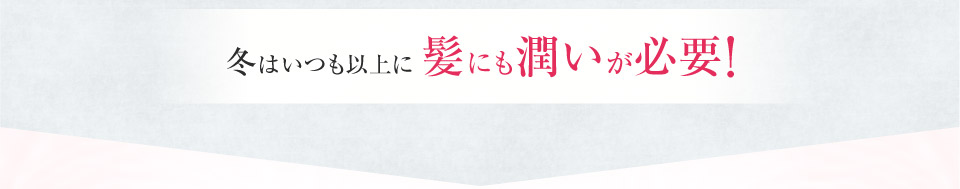 冬はいつも以上に髪にも潤いが必要!