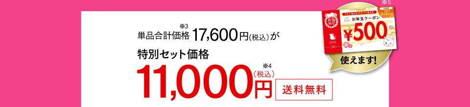 特別セット価格11,000円