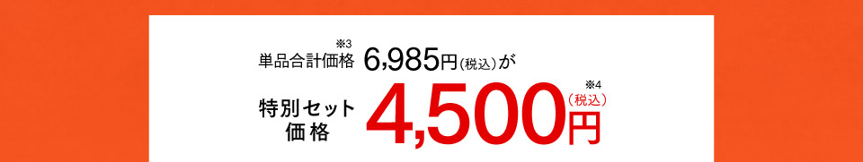 特別セット価格 4,500円