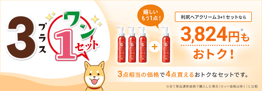 3+1セット