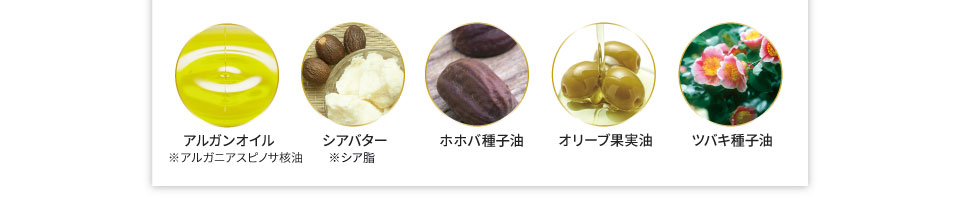 アルガンオイル シアバター ホホバ種子油 オリーブ果実油 ツバキ種子油