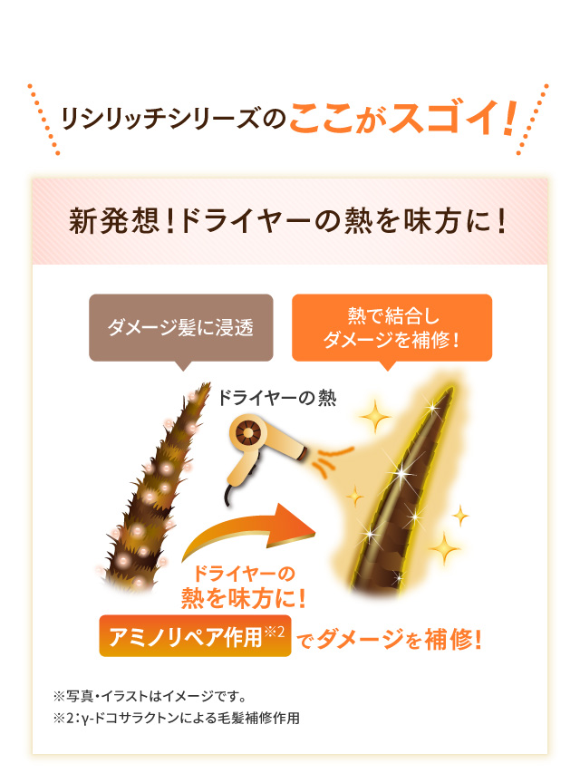 リシリッチシリーズのここがスゴイ 新発想!ドライヤーの熱を味方に!
