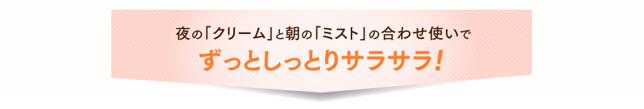 夜の「クリーム」と朝の「ミスト」の合わせ使いで ずっとしっとりサラサラ!
