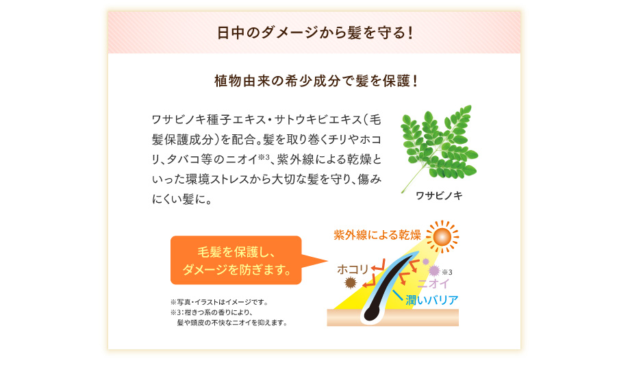 日中のダメージから髪を守る!