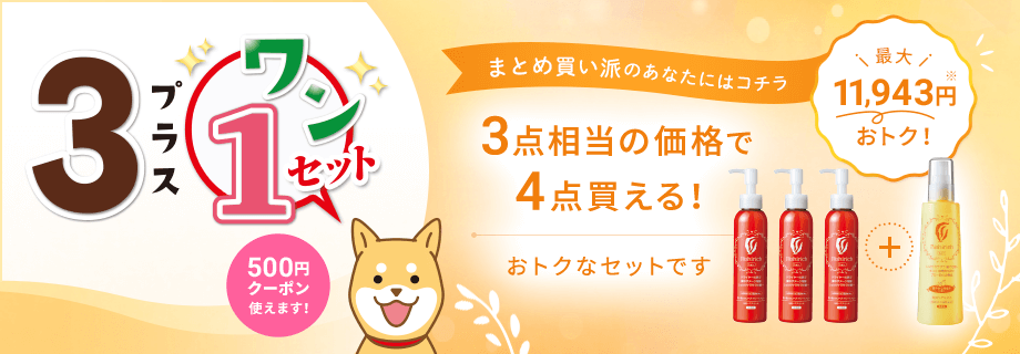 3+1セット