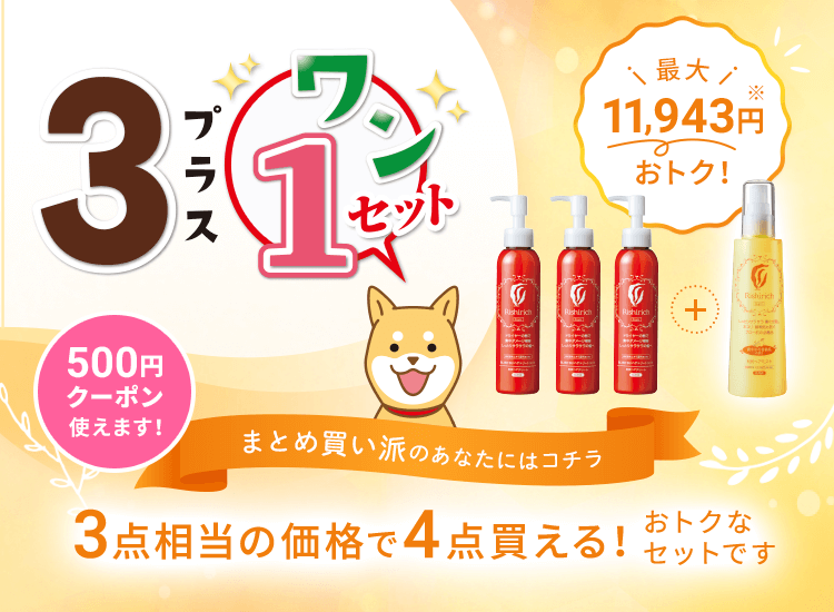 3+1セット