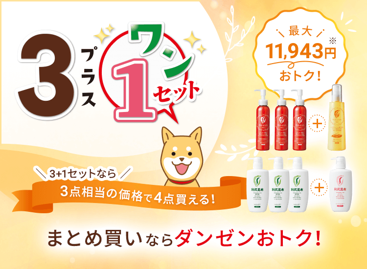 3+1セット