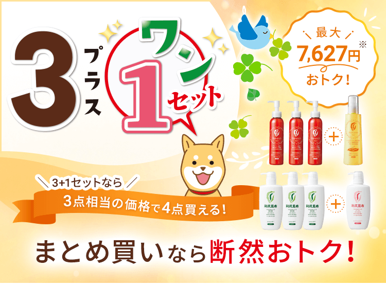 3+1セット