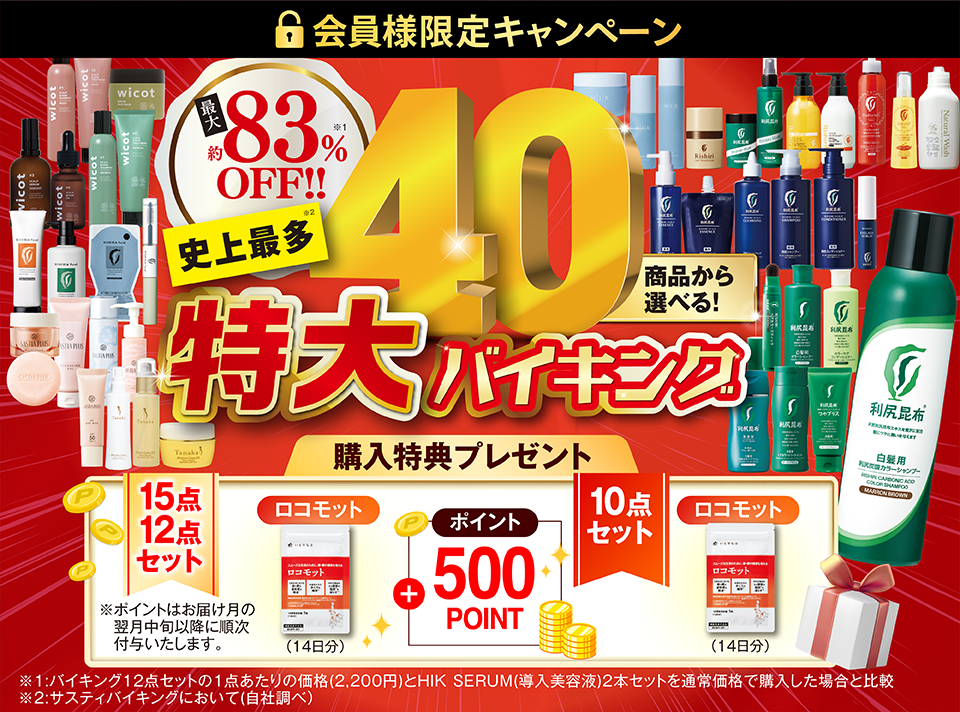 サスティバーゲン　バイキング