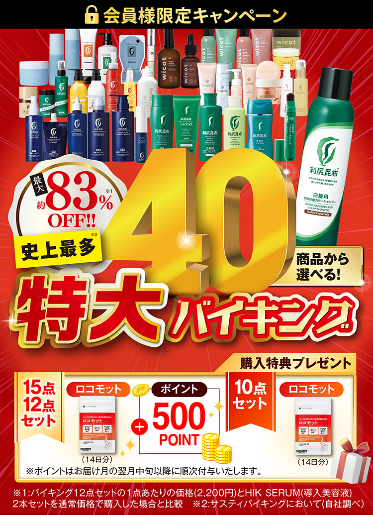 サスティバーゲン　バイキング