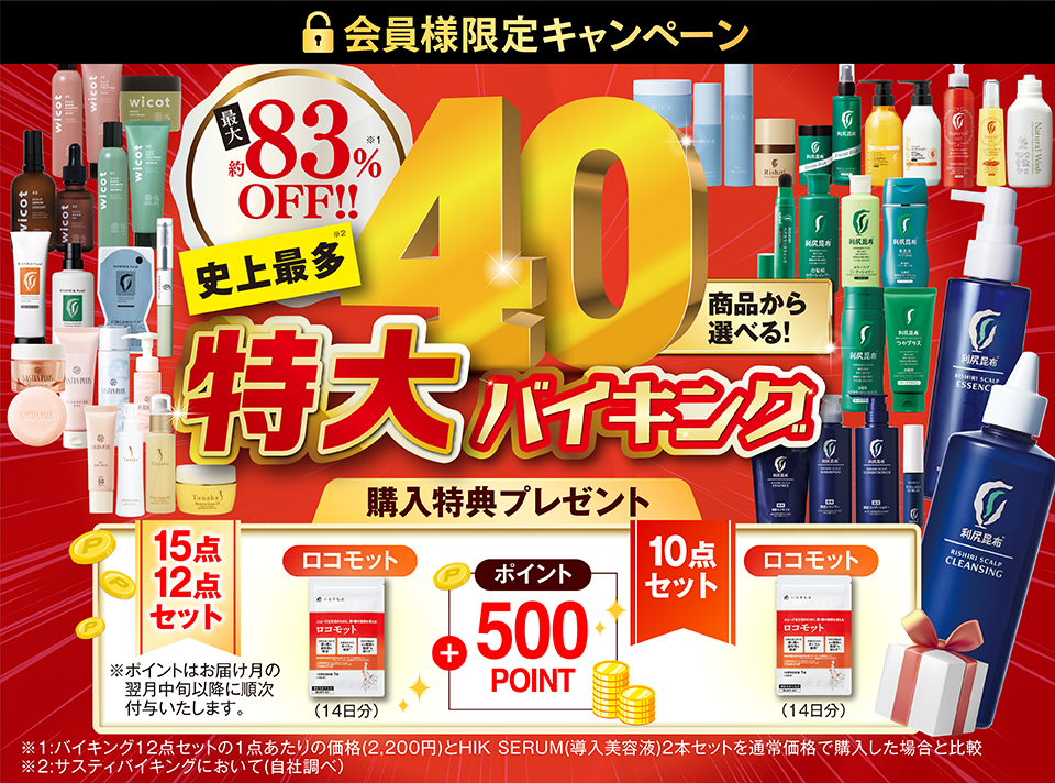 サスティバーゲン　バイキング