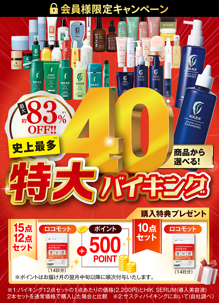 サスティバーゲン　バイキング