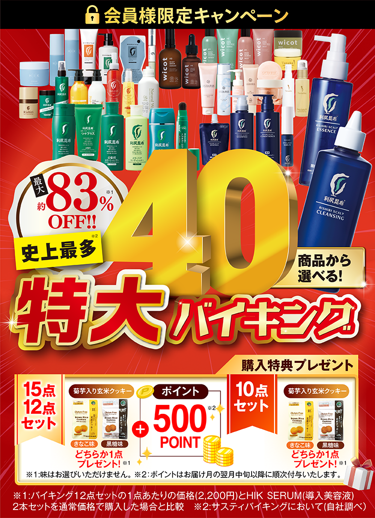 サスティバーゲン　バイキング