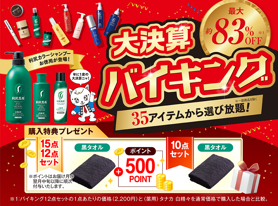 サスティバーゲン　バイキング