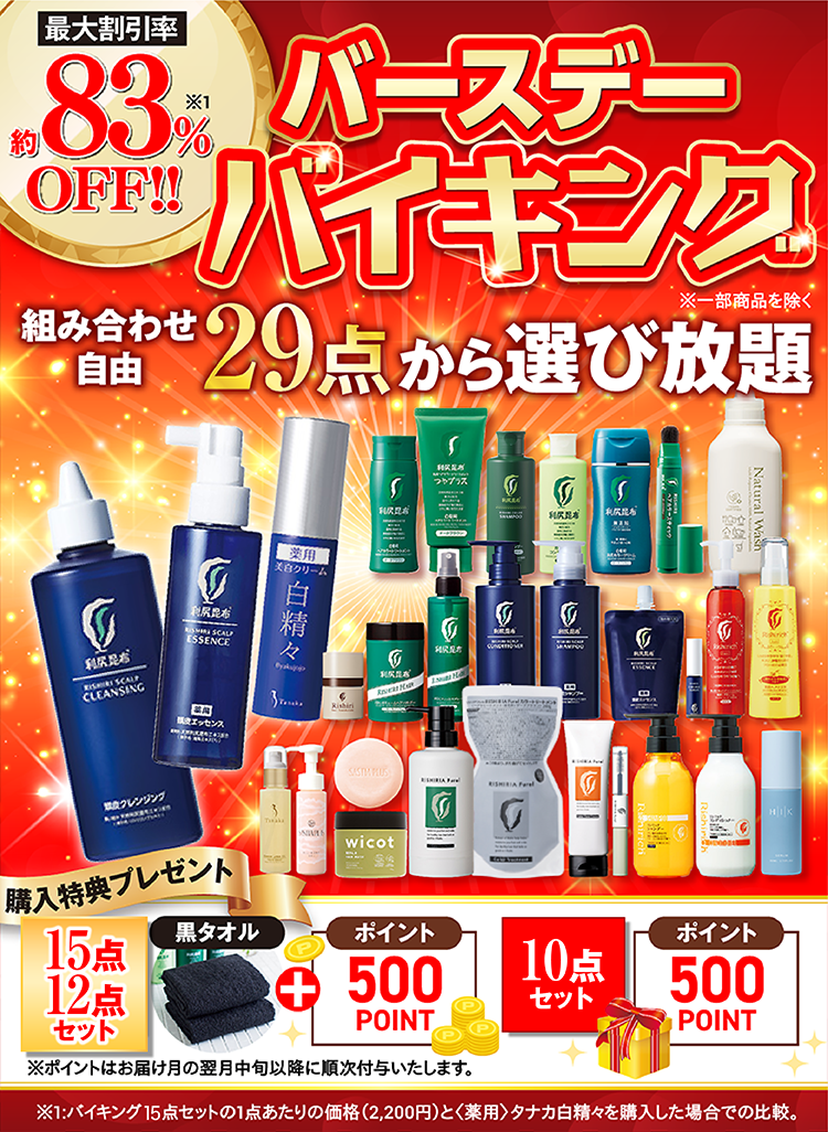 サスティバーゲン　バイキング