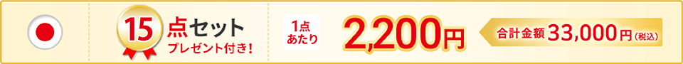 15点セット