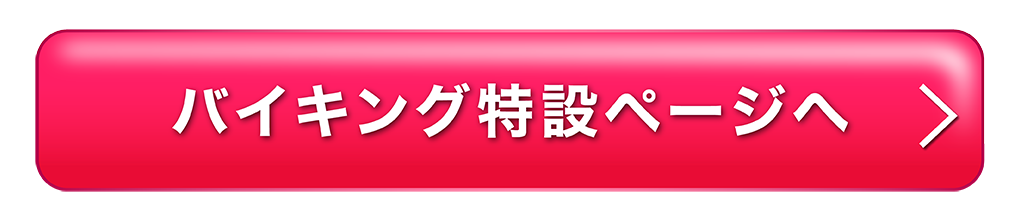 バースデーバイキング