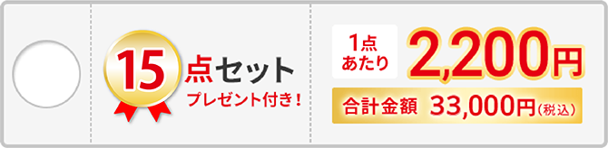 15点セット