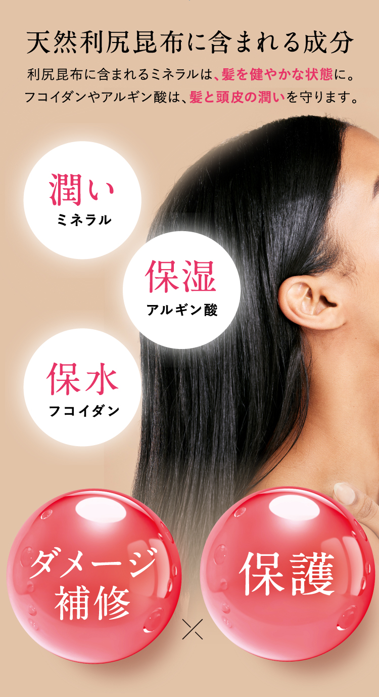 利尻ヘアカラー・無添加化粧品 自然派clubサスティ[白髪用] 利尻カラー