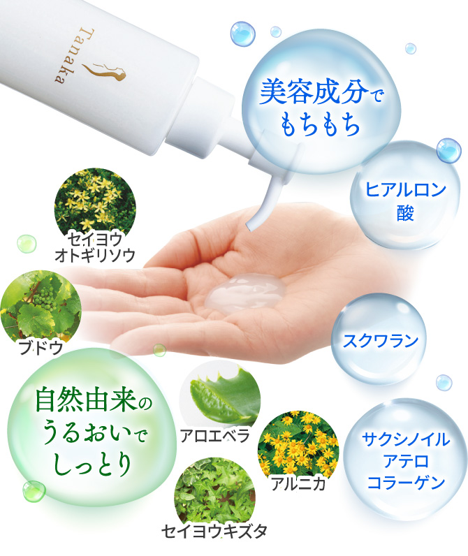 利尻ヘアカラー・無添加化粧品 自然派clubサスティタナカ クレンジング