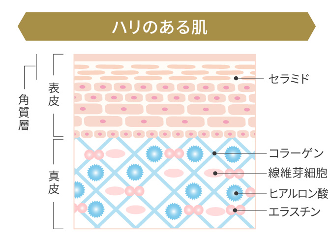 利尻ヘアカラー 無添加化粧品 自然派clubサスティタナカ Egエッセンスsp 無添加 スキンケア メイク