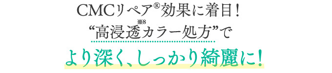 CMCリペア効果に着目！“浸透カラー処方”でより深く、しっかり綺麗に！