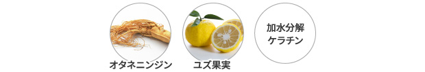 オタネニンジン ユズ果実 加水分解ケラチン