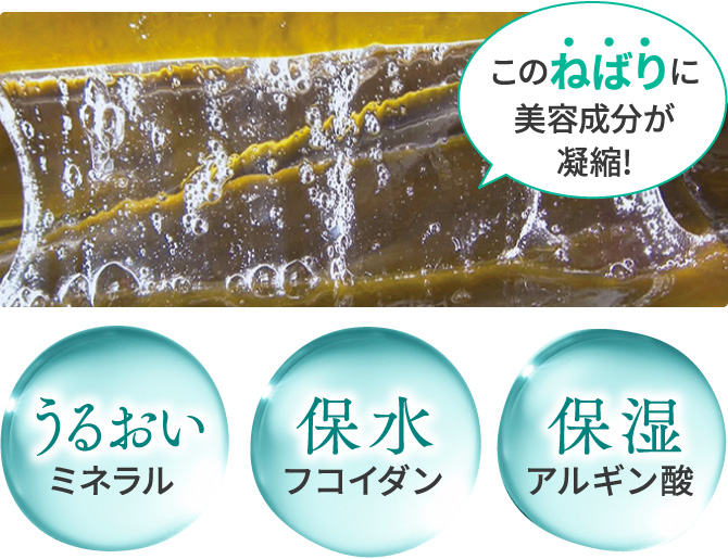 利尻ヘアカラー・無添加化粧品 自然派clubサスティ[白髪用]利尻カラー