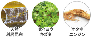 天然利尻昆布　セイヨウキズタ　オタネニンジン