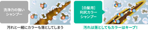 洗浄力の強いシャンプー ［白髪用］利尻カラーシャンプー