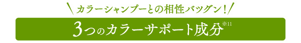 3つのカラーサポート成分