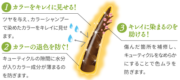3つのカラーサポート成分