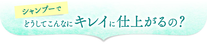シャンプーでどうしてこんなにキレイに仕上がるの?