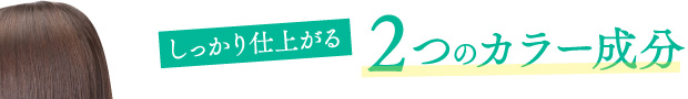 しっかり仕上がる2つのカラー成分