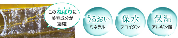 このねばりに美容成分が凝縮! うるおい 保水 保湿