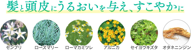 髪と頭皮にうるおいを与え、すこやかに センブリ ローズマリー ローマカミツレ アルニカ セイヨウキズタ オタネニンジン