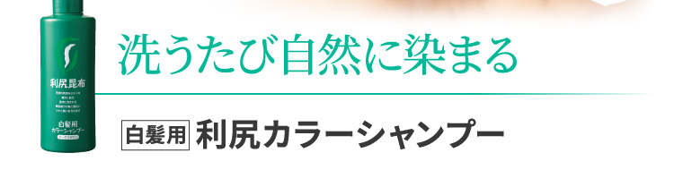自然派clubサスティ カラーシャンプー500ml 2本セット（ダークブラウン） 利尻ヘアカラー・無添加化粧品 自然派clubサスティ[白髪用] 利尻