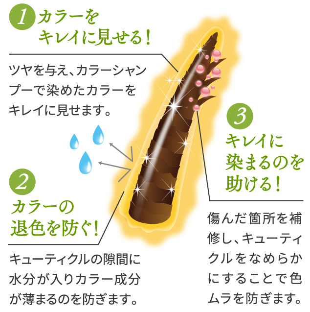 利尻ヘアカラー・無添加化粧品 自然派clubサスティ【定期おトク