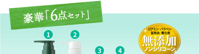 豪華「6点セット」無添加　ノンシリコーン