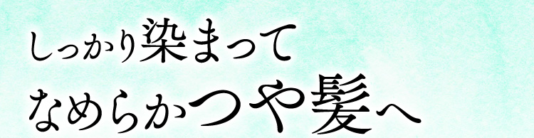 利尻ヘアカラー・無添加化粧品 自然派clubサスティ[白髪用] 利尻
