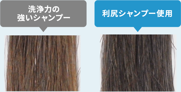 利尻ヘアカラー・無添加化粧品 自然派clubサスティ利尻シャンプー [無 