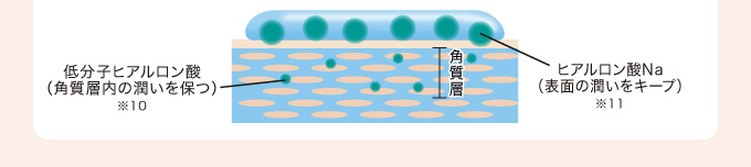 低分子ヒアルロン酸　ヒアルロン酸Na