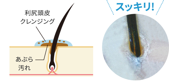 利尻ヘアカラー・無添加化粧品 自然派clubサスティ【初回限定】利尻