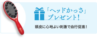 「ヘッドかっさ」プレゼント!  頭皮に心地よい刺激で血行促進！