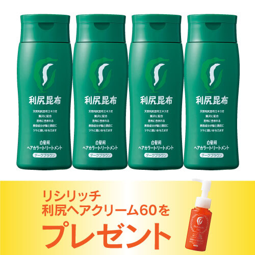 [白髪用] 利尻ヘアカラートリートメント4本セット