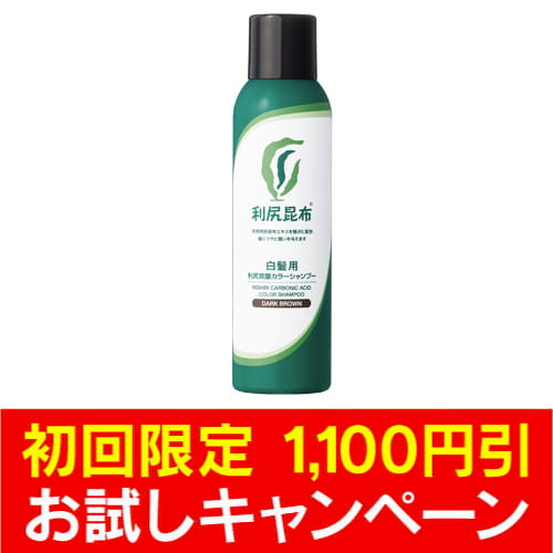 【初回限定1,100円引き】[白髪用] 利尻炭酸カラーシャンプー